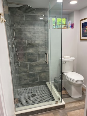 Shower, hair dryer, towels, toilet paper