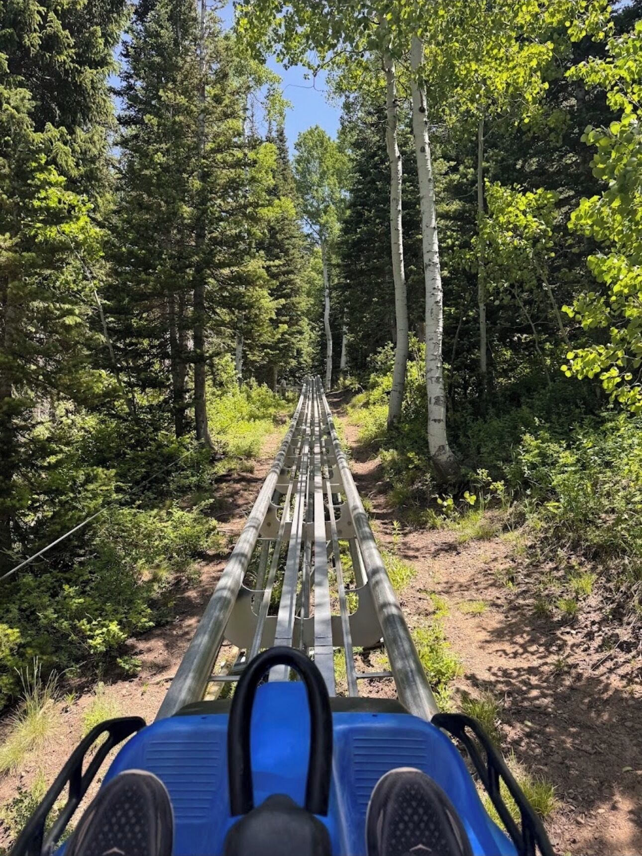 A metal bridge in a forested area.