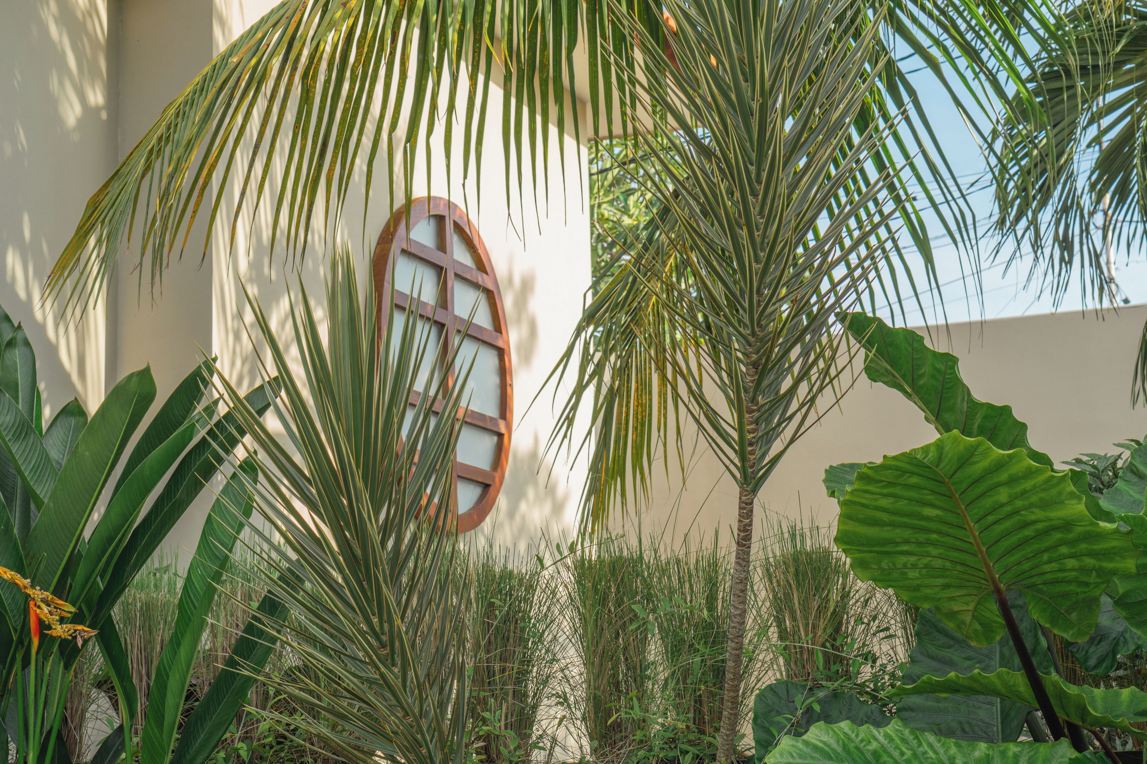 A building with a large window and surrounding tropical plants.