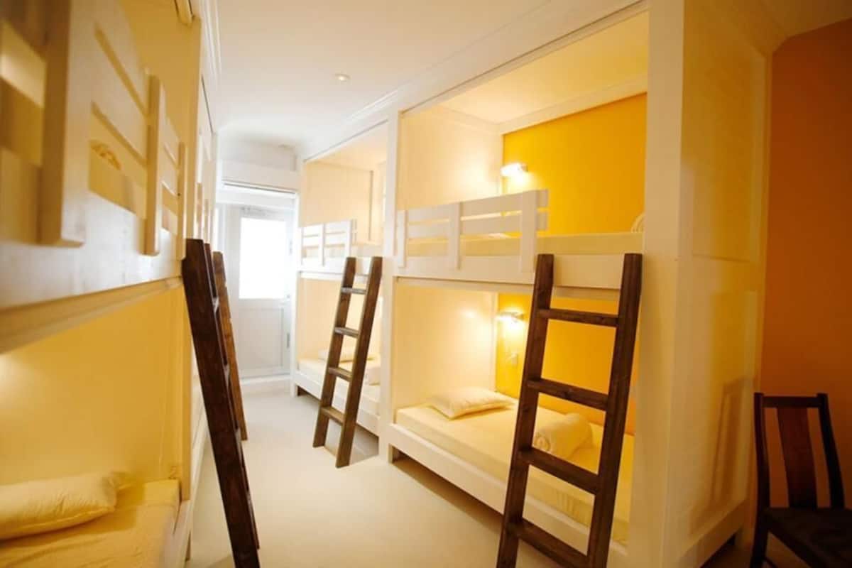 A room with bunk beds, wooden ladders, and a yellow wall.