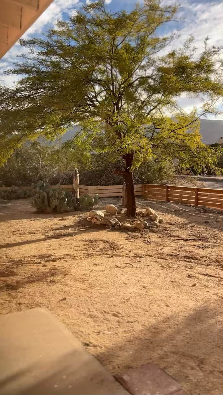 Golden desert light and natural beauty surround you