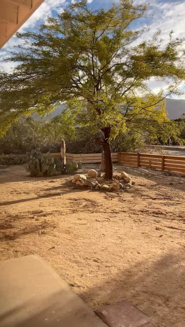 Golden desert light and natural beauty surround you
