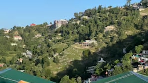 Un paisaje con construcciones y árboles frondosos.