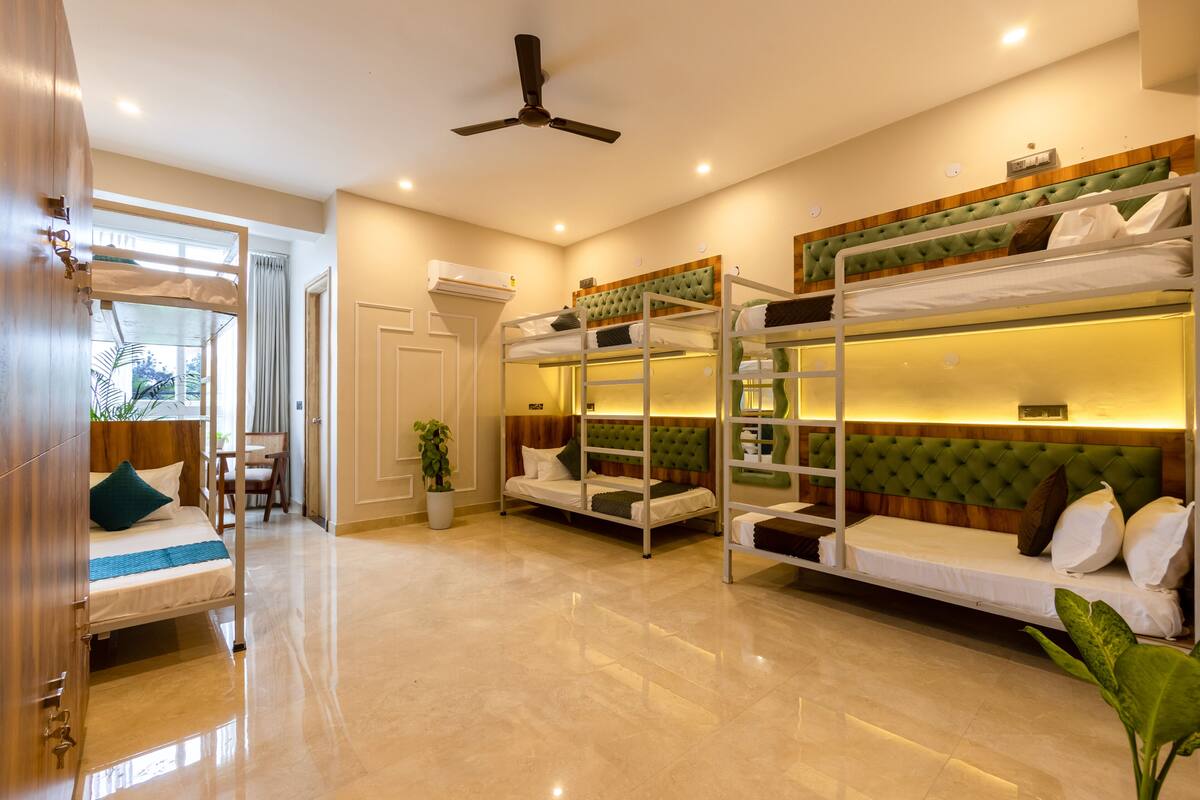 A hotel room with bunk beds, a wooden wardrobe, a desk, and a potted plant.