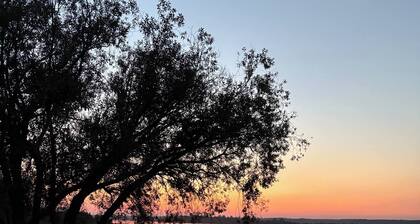 Spacious 4-season Cabin With Lakefront Views in Silver Sands