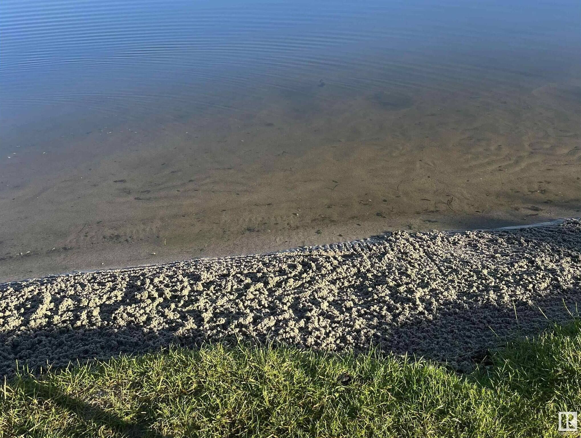 Cabin, 3 Bedrooms, Accessible, Balcony | Beach