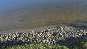 Cabin, 3 Bedrooms, Accessible, Balcony | Beach