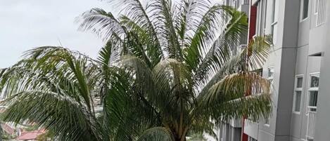 Apartment, 2 Bedrooms | Balcony view