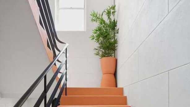 A staircase with orange steps, black railings, and a potted plant at the top.