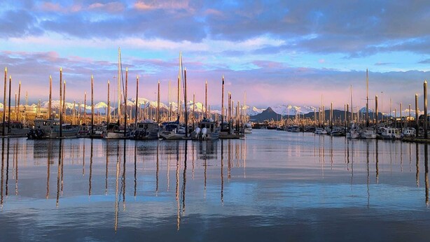 Een jachthaven met tal van boten afgemeerd, kalm water en een bergketen op de achtergrond.