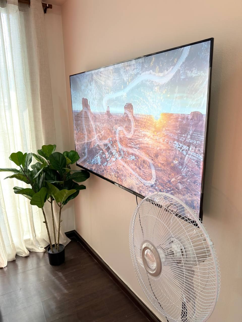 Un televisor de pantalla plana montado en la pared, con una imagen de paisaje desértico, un ventilador de pie blanco y una planta en maceta.