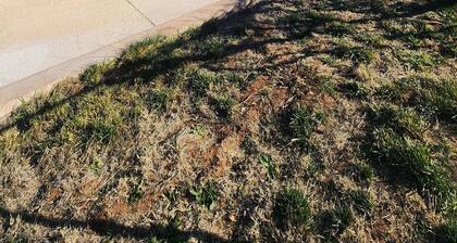 Charming 1-bedroom 1-bath River cottage in cozy Cornville+aroma therapy