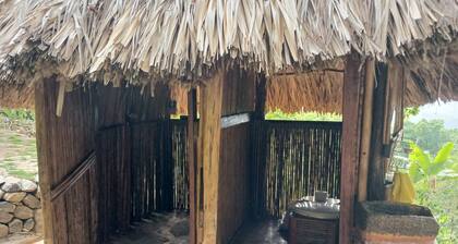 Private Jungle Accommodation With Waterf