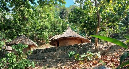 Private Jungle Accommodation With Waterf