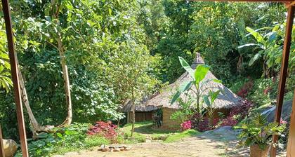 Private Jungle Accommodation With Waterf