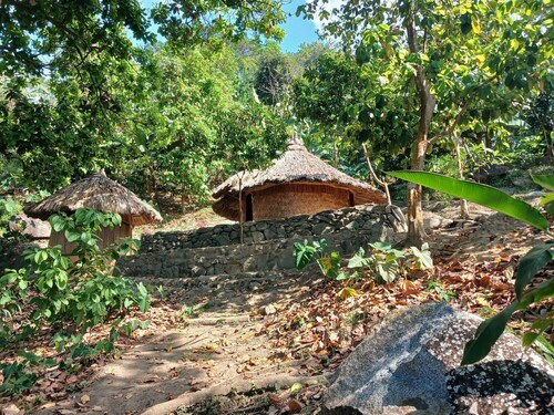 Private Jungle Accommodation With Waterf