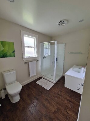 Shower, hair dryer, towels - Spacious Bungalow Rental in Palmerston North - Ideal for Groups (Palmerston North)