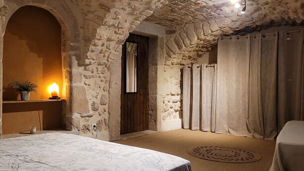 A rustic room with stone walls, a wooden door, a bed with a patterned bedspread, a bedside table with a plant, and a wall-mounted light. - La Bergerie d'Hélène (Salles-sous-Bois)