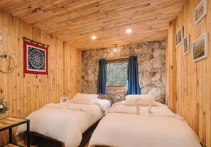 Twin kamer, uitzicht op tuin | Gratis wifi, beddengoed