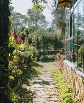Jardim