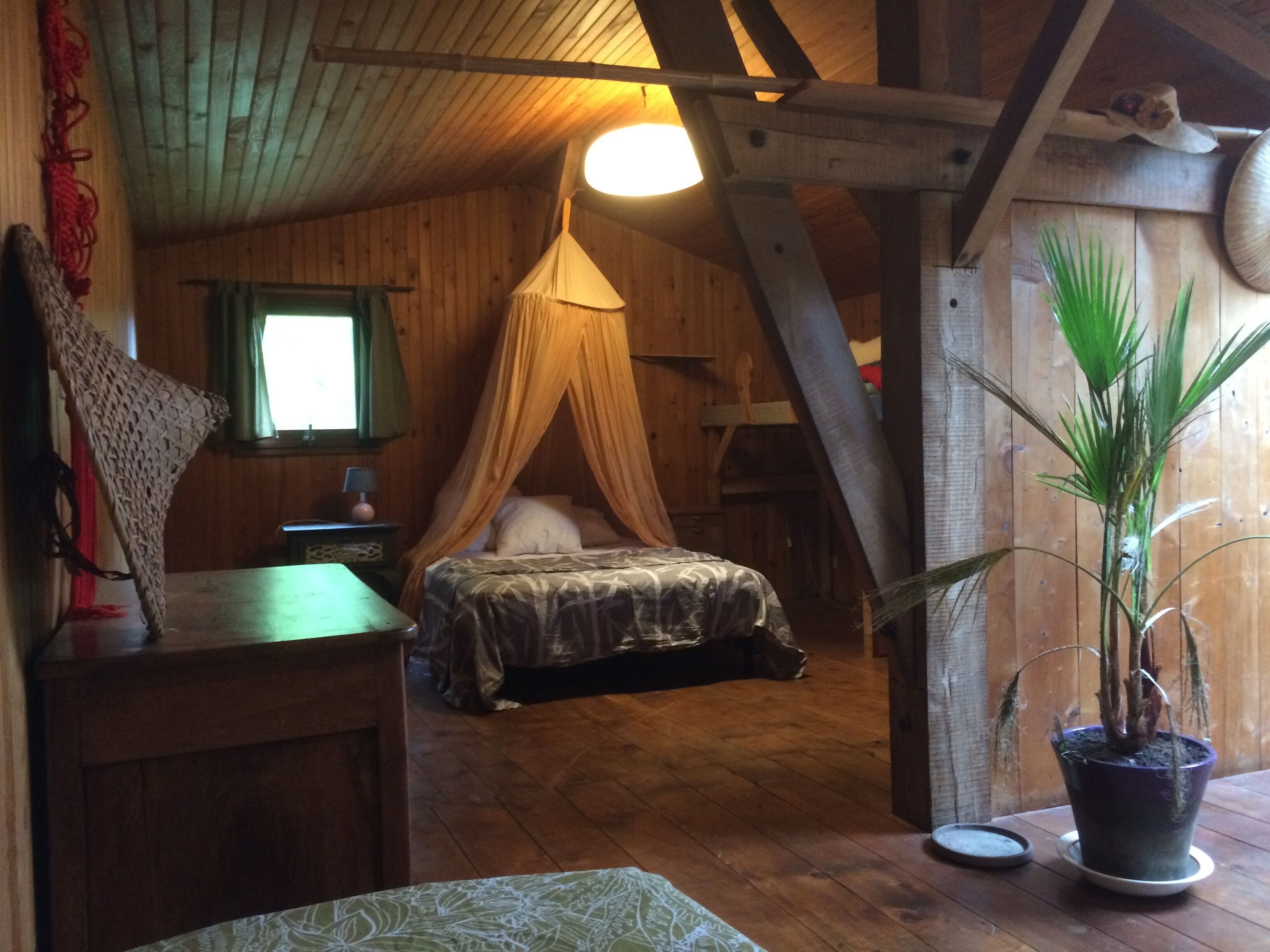 1 habitación 
