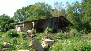 Una baita di legno rustica circondata da vegetazione lussureggiante e rocce.