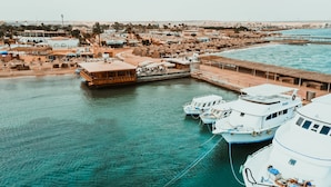 A marina with boats docked, a large wooden boat, and a cityscape in the background.