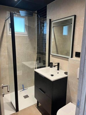 Shower, hair dryer, soap, toilet paper