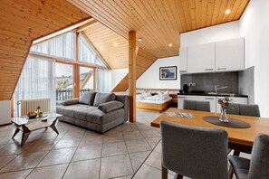 TV - Apartment Holder with Balcony and Wi-Fi (Bodman-Ludwigshafen)