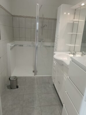 Regadera, secadora de cabello, papel de baño 
