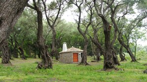 Uma pequena casa de pedra com telhado de telhas, rodeada por árvores densas numa área arborizada.