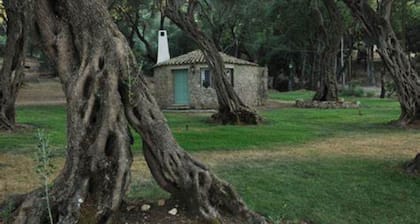 Corfu Dream Holidays Cottage Boukari