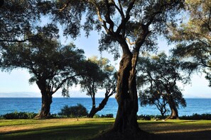 Loft, 1 Bedroom, Smoking, Garden View | Beach - Corfu Dream Holidays Cottage Boukari (Corfu)