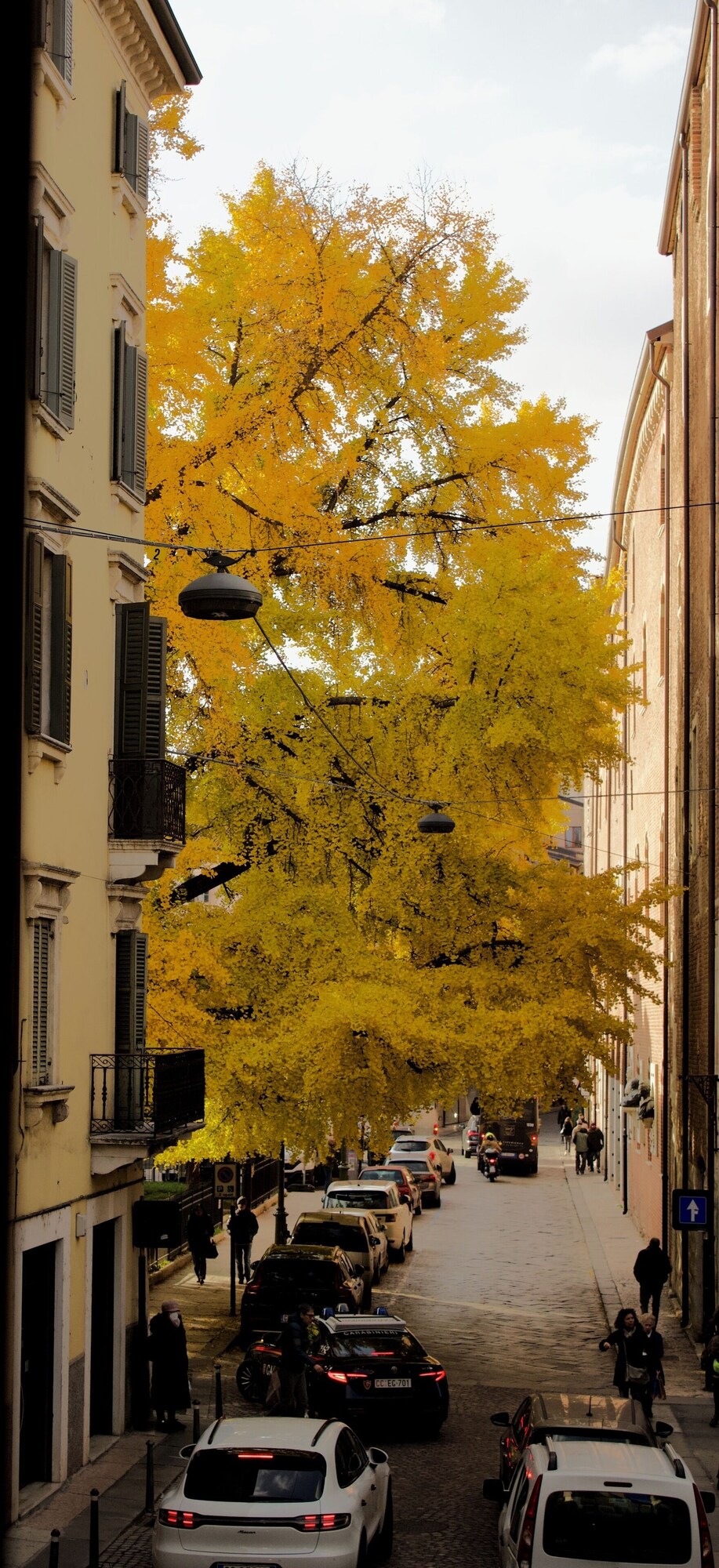 Imagen de perfil del propietario o de la propietaria