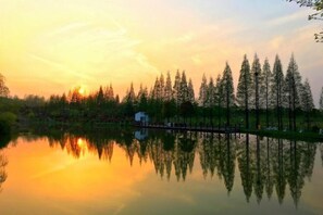 A serene lakeside scene with a small cabin reflecting in the water, surrounded by tall trees and a clear sky.