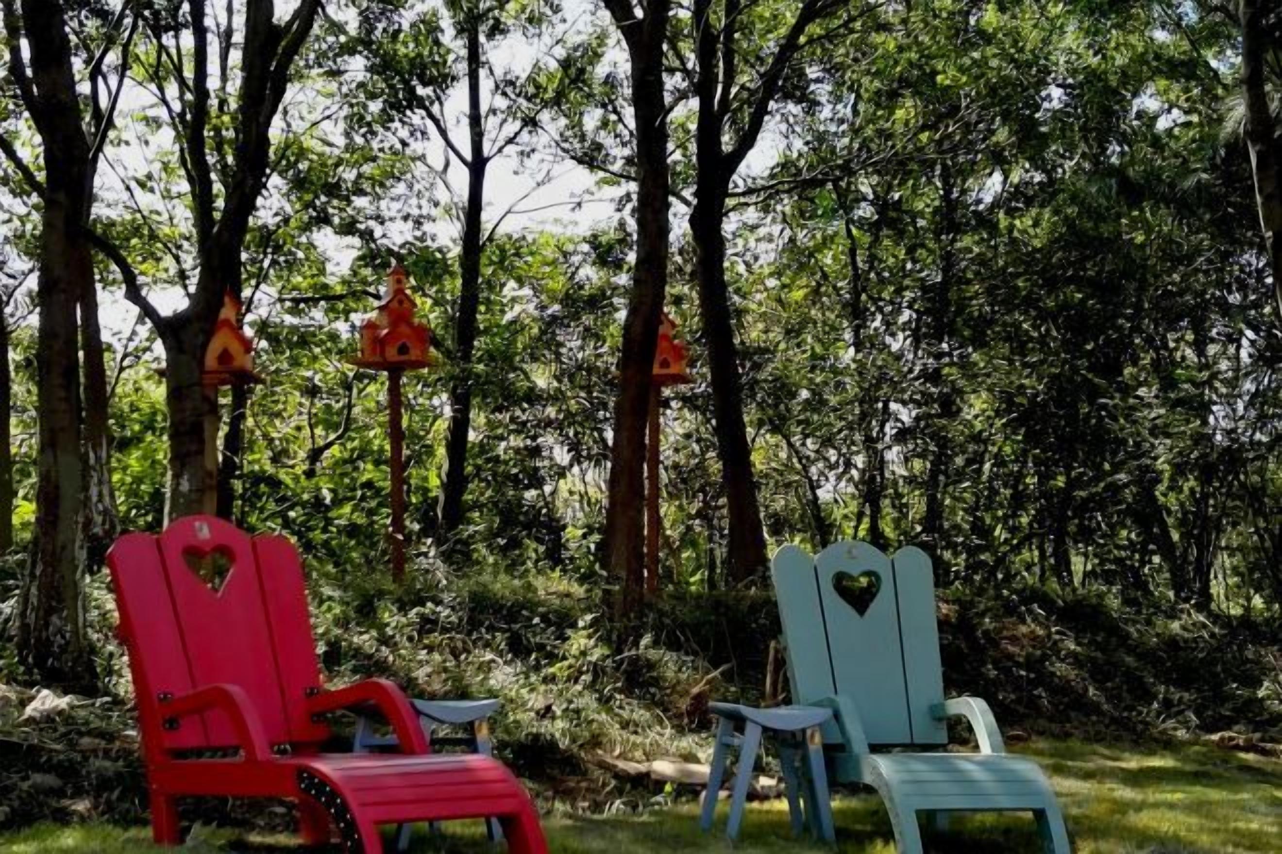 Two chairs in a forested area with trees and hanging birdhouses.