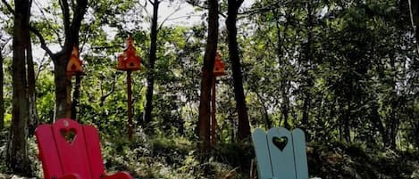 Dos sillas en un área boscosa con árboles y casas para pájaros colgantes.