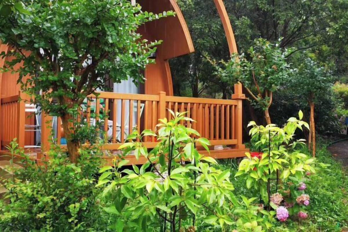 A wooden deck with a railing, surrounded by lush greenery and trees.