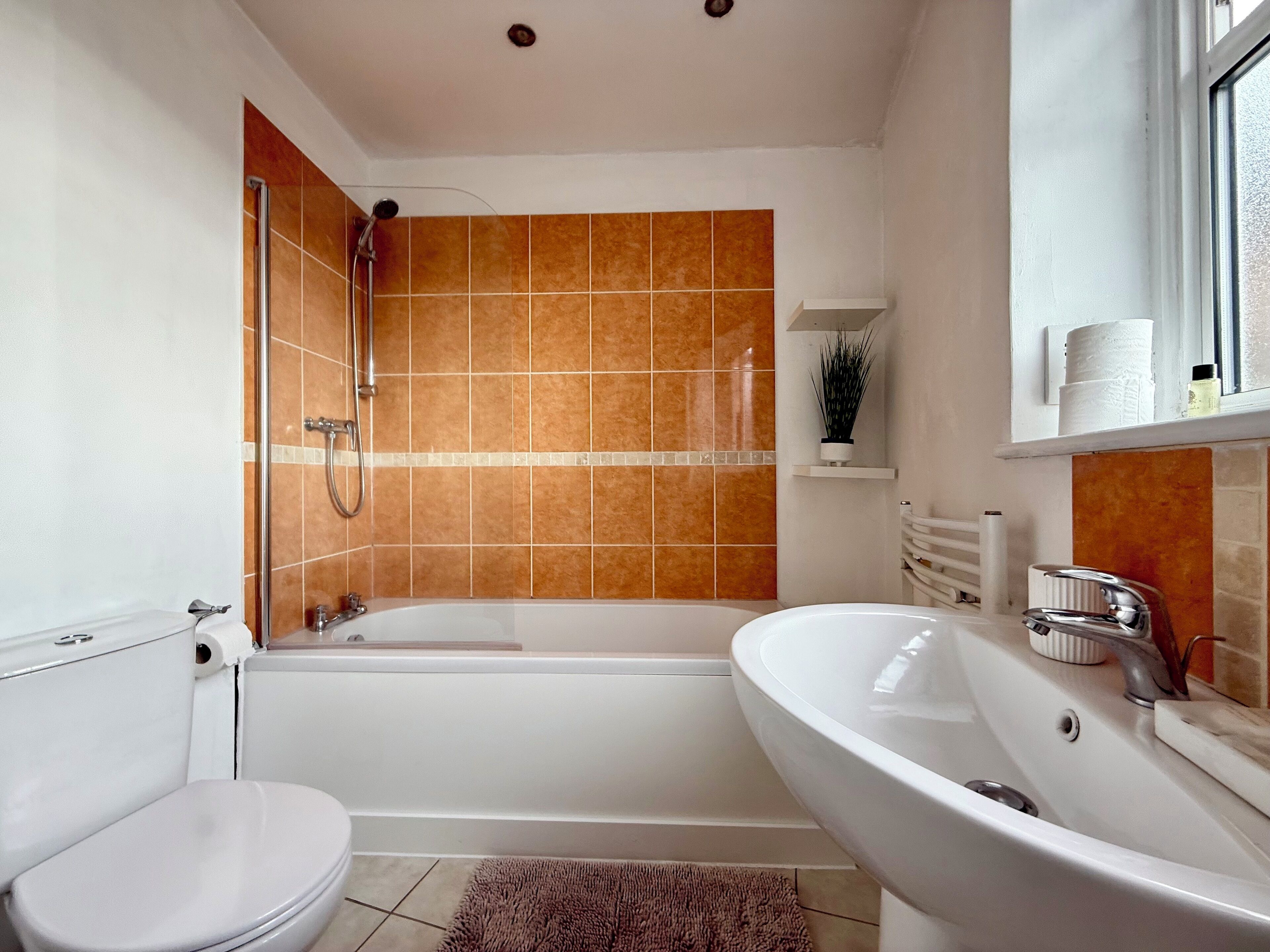 Hair dryer, towels, soap, toilet paper