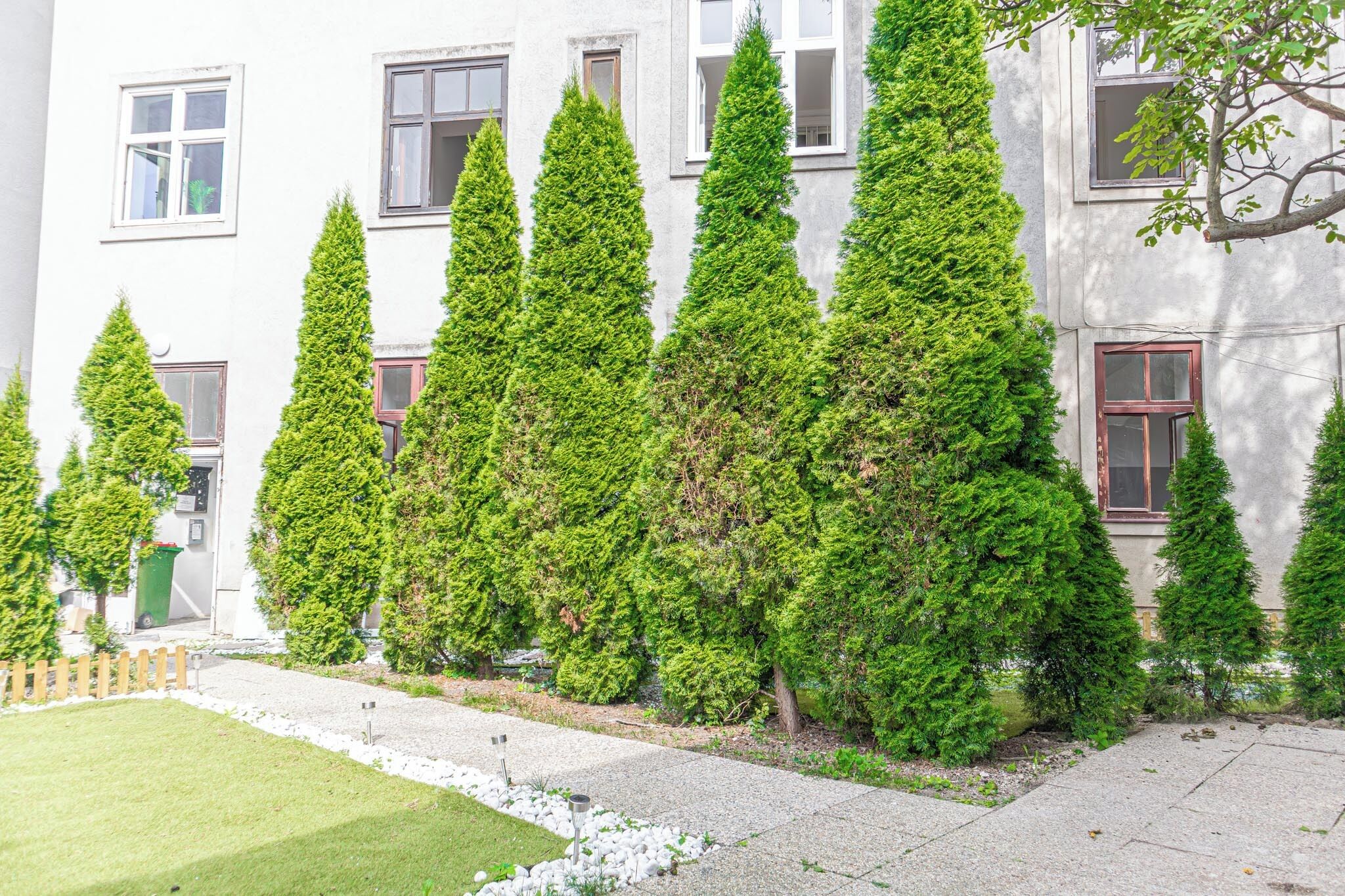 เบสิกสตูดิโอ | บริเวณภายนอก