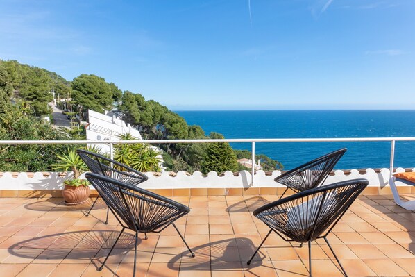 テラス / パティオ