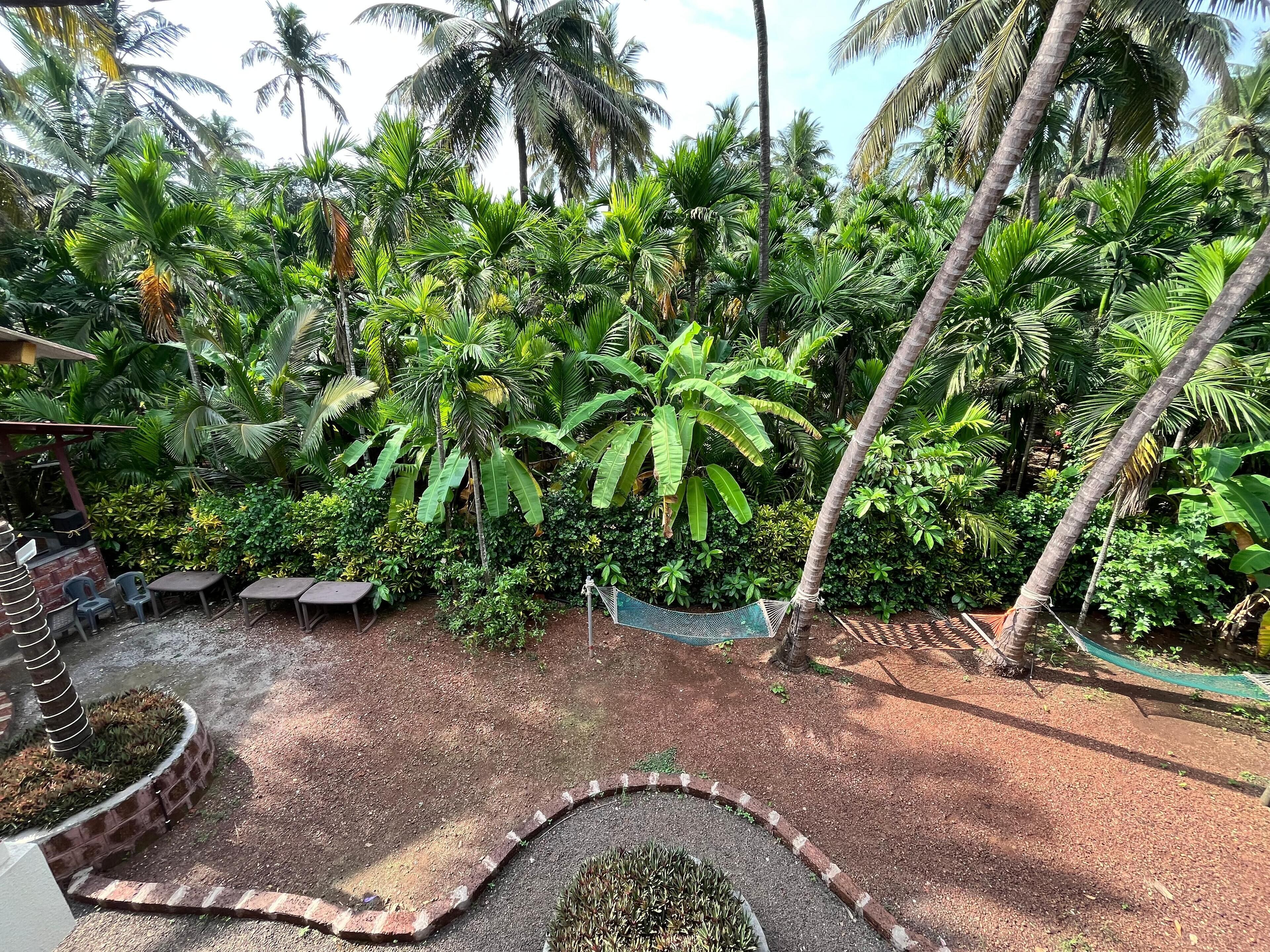 Un jardin luxuriant, avec des palmiers, un hamac et des sièges d’extérieur.