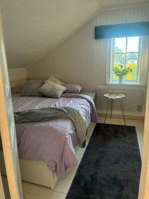 Villa, 1 Schlafzimmer, barrierefrei, Raucher | 1 Schlafzimmer