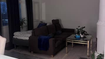 Villa, 1 soverom, tilgjengelighetstilpasset, røyk | Oppholdsrom | Bøker