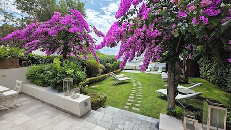 Terrace/patio. BLU HOTEL