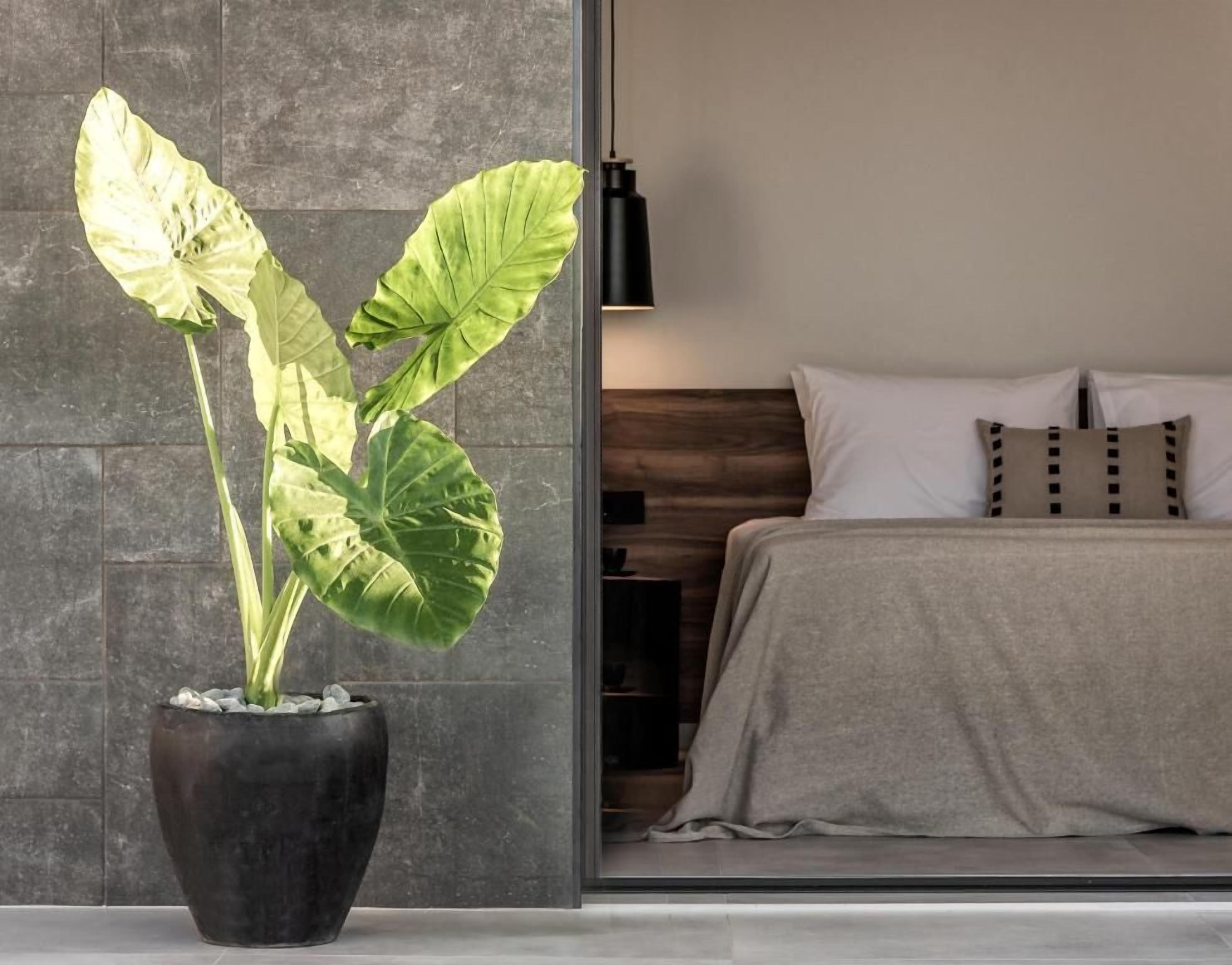 ตู้นิรภัยในห้องพัก, โต๊ะทำงาน, ห้องเก็บเสียง, เตารีด/โต๊ะรีดผ้า