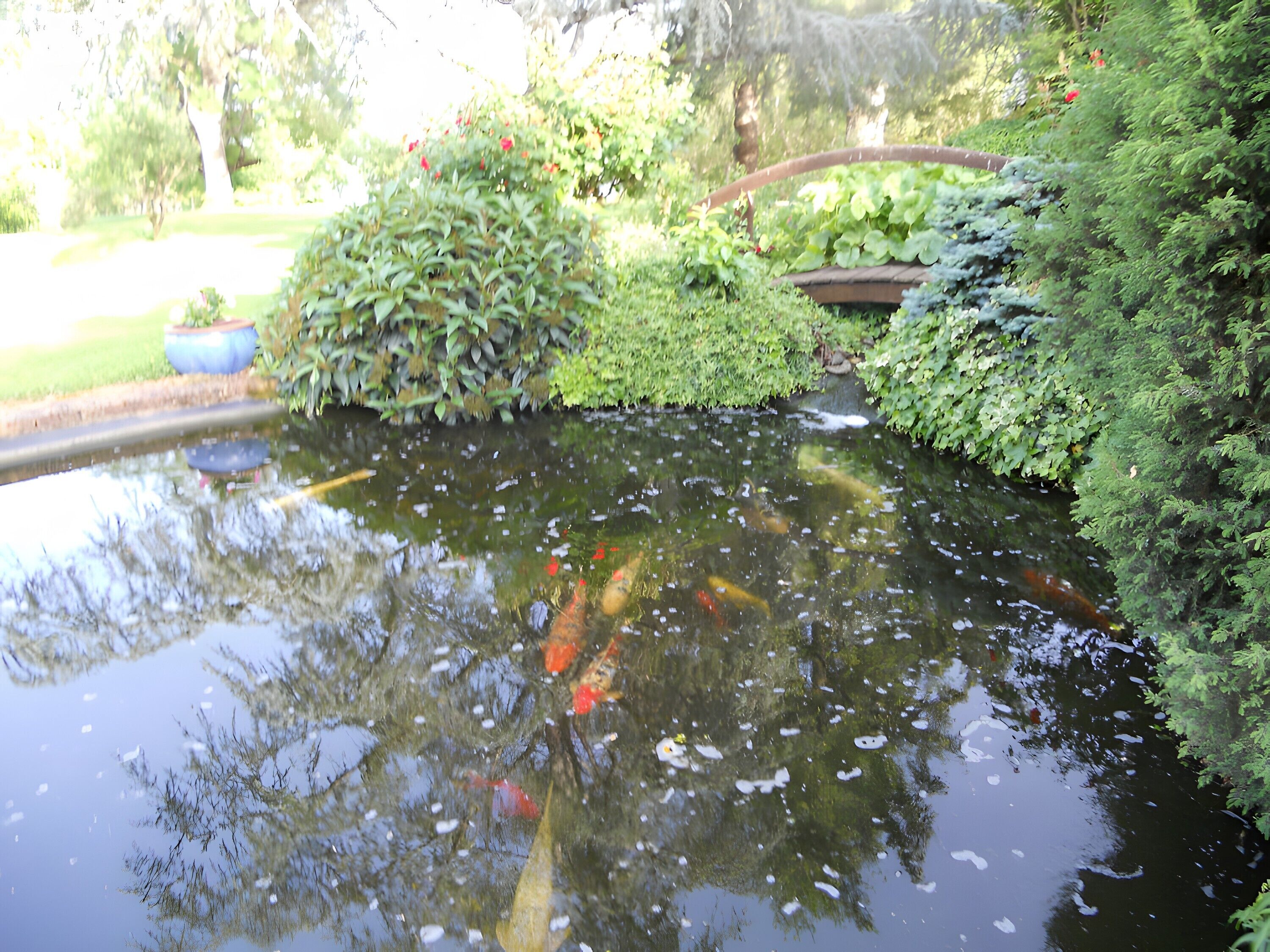 Enceinte de l’hébergement