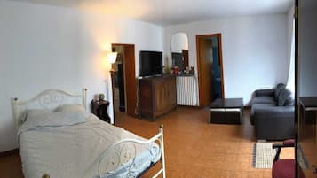 Een slaapkamer met een bed, een bureau, een televisie en een bank.