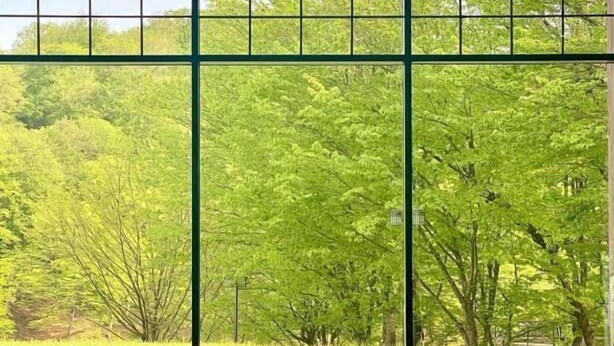 A view through a window with a grid pattern, reflecting a lush green landscape with trees and a body of water. - Macara Lake Park Hotel (Quba)