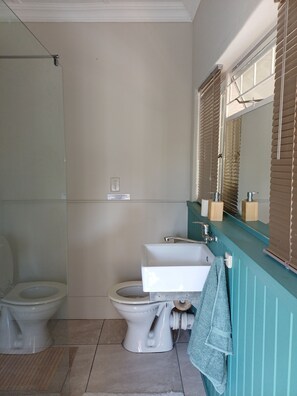 Asciugamani, sapone, carta igienica